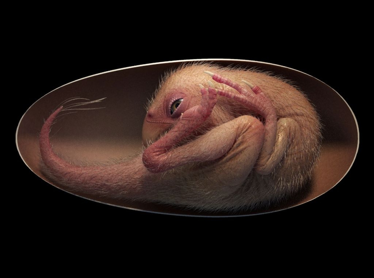 El dinosaurio en su huevo