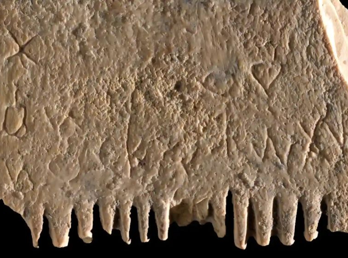 La primera frase de la historia