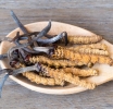 Cordyceps, ¿parásito con beneficios?