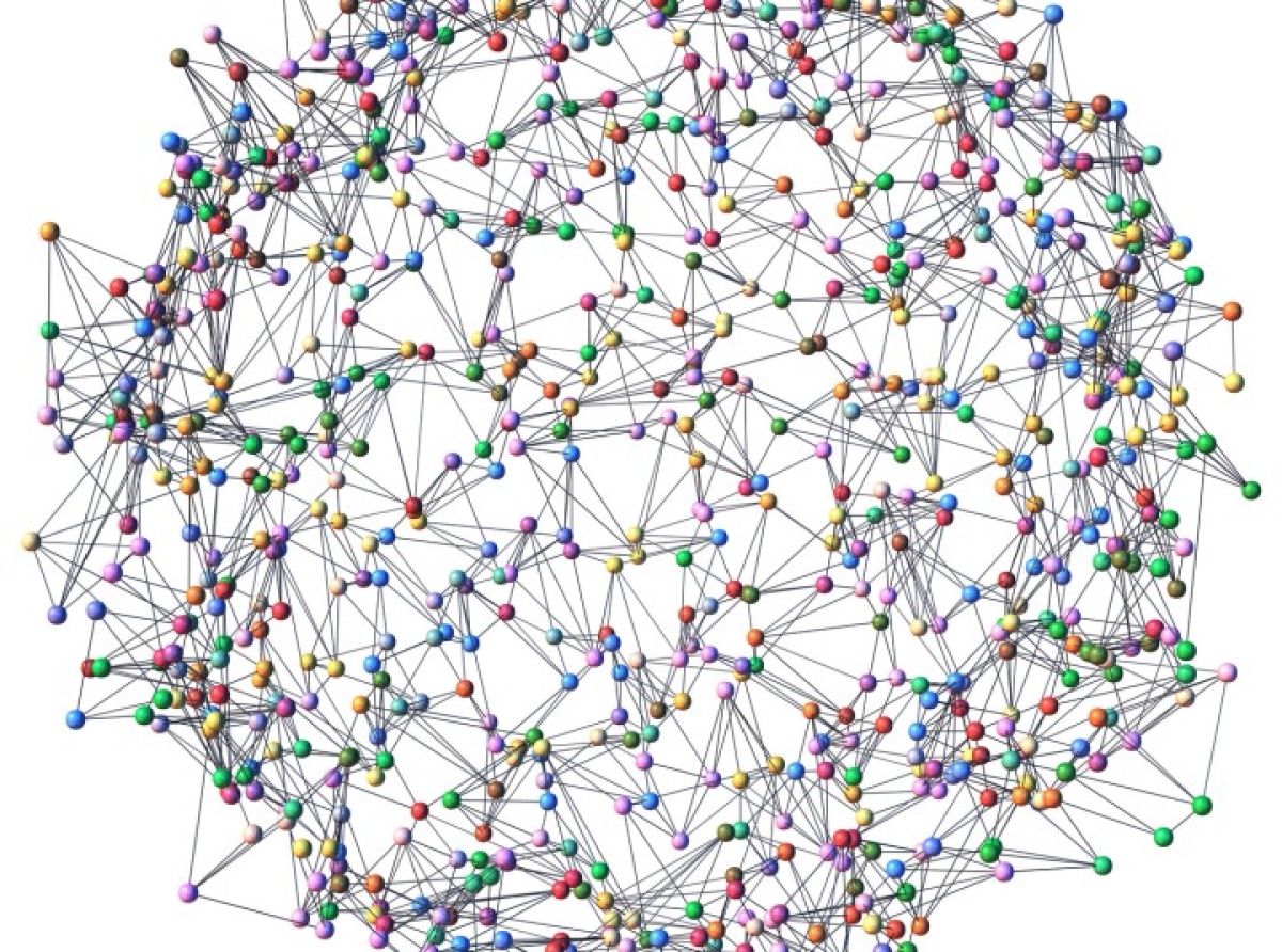 La complejidad. Una introducción