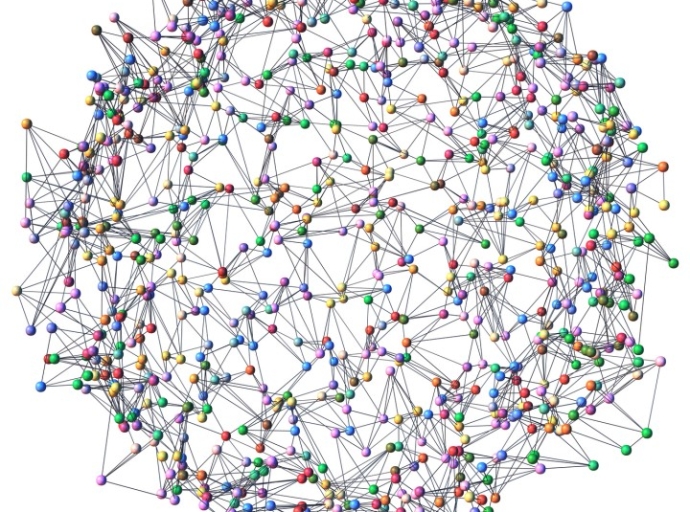 La complejidad. Una introducción