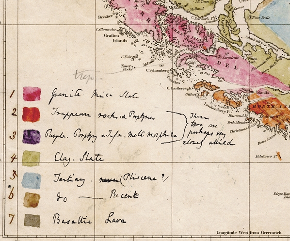 Ilustración en carta de Charles Darwin