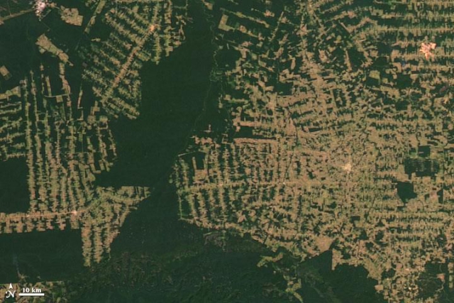 Deforestación de la Amazonia, imagen vía satélite