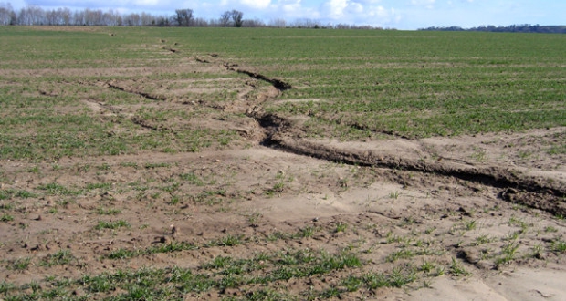 Ejemplo de erosión del suelo