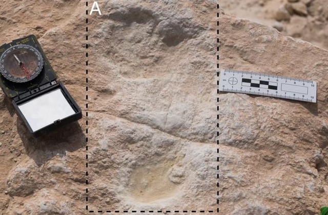 Huella de H. sapiens en el desierto de Nefud