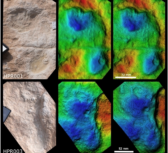 Huellas de H. sapiens en el desierto de Nefud