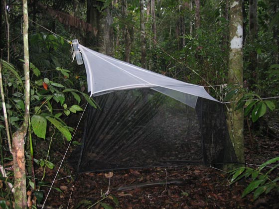 Trampa para insectos tipo Malaise