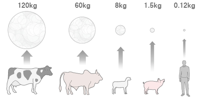 Emisiones de metano por animal por año. NASA, Instituto Goddard