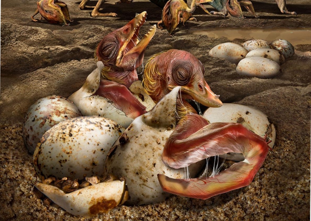 Crías de pterosaurio saliendo del huevo