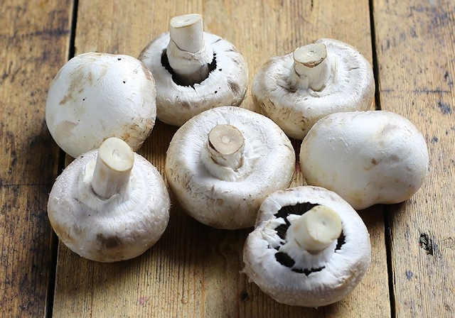 Champiñones, fuente de vitamina D