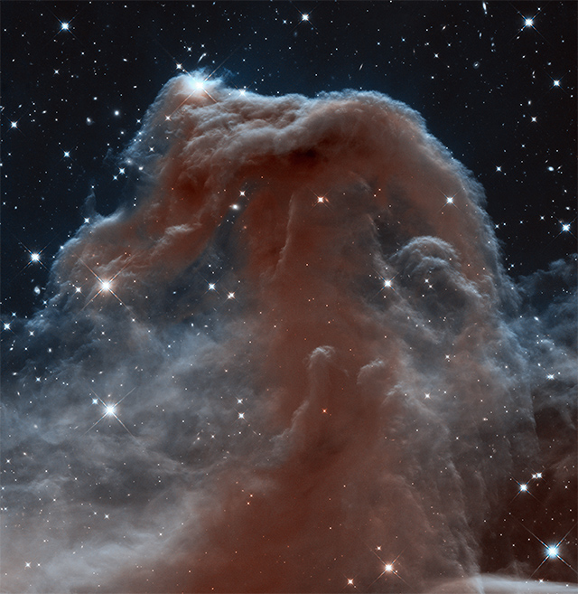 Nebulosa Cabeza de Caballo