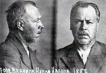 Nikolai Vavilov arrestado