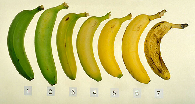platanos