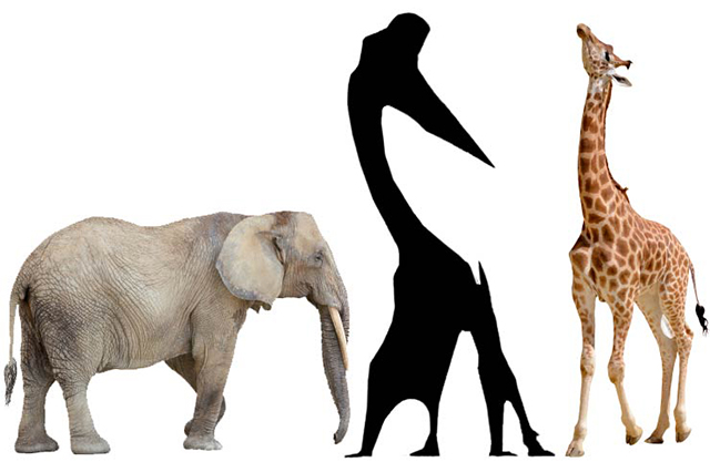 Tamaño del quetzalcoatlus