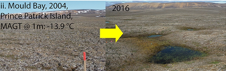 Ternokarst en la Isla Príncipe Patrick. 2004-2016