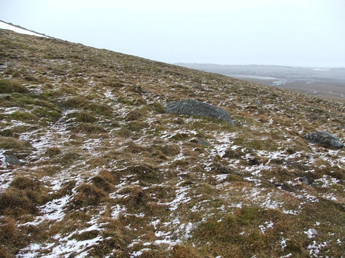 Tundra reverdeciendo